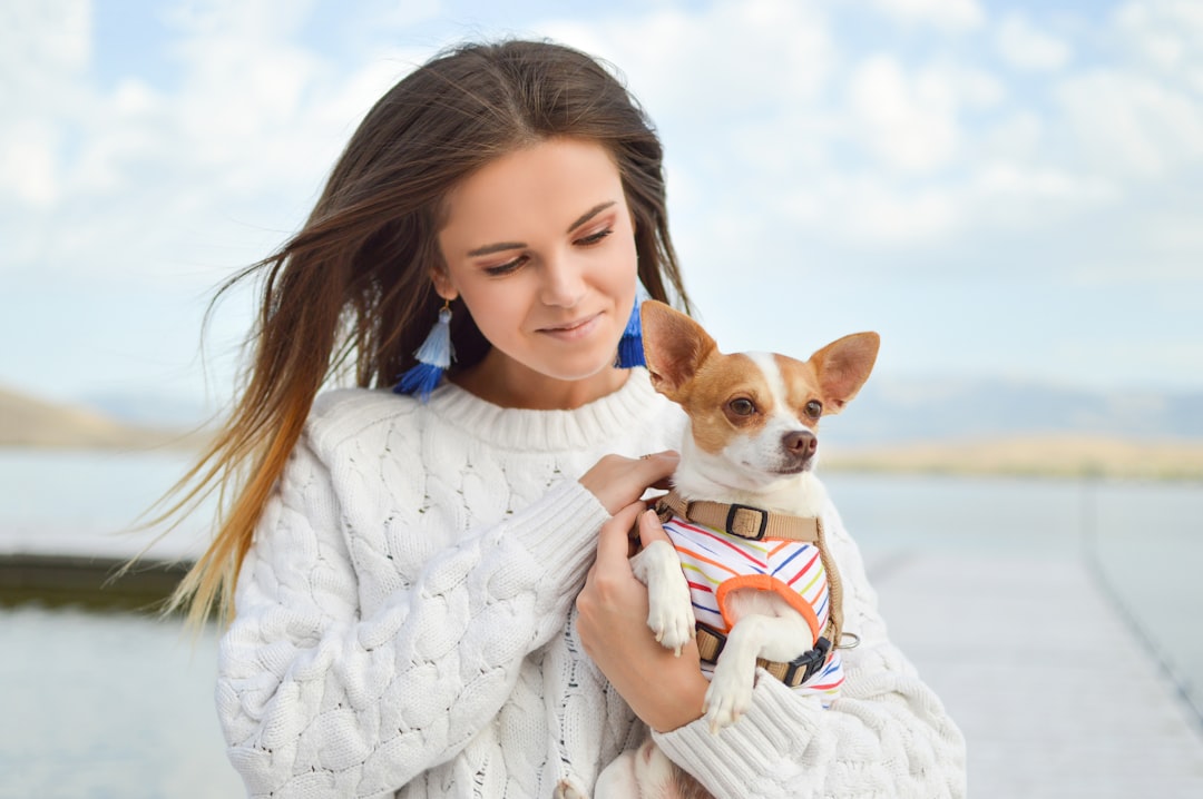 2025 Holiday Gift Guide: Sustainable, Stylish, and Health-Focused Innovations for Pets and Their Owners